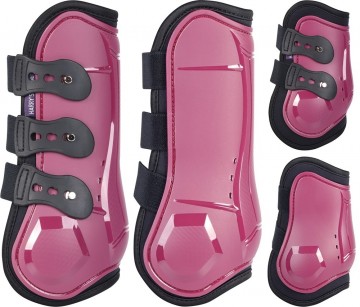 Beschermers Pozas purple potion