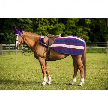 Equitheme stripe paars