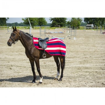 Equitheme stripe raspberry