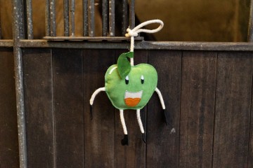 Excellent foodie friend Appel