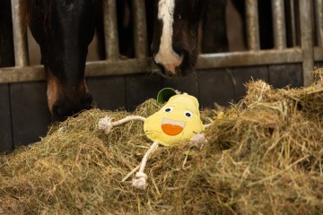 Excellent foodie friend Peer