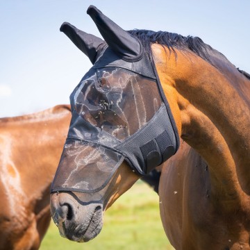 Flyshield neusstuk