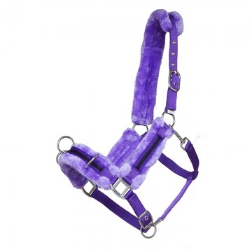 GR kaptoom paars zwart