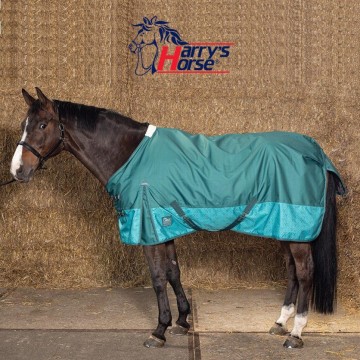 Regendeken WI22 mallard green