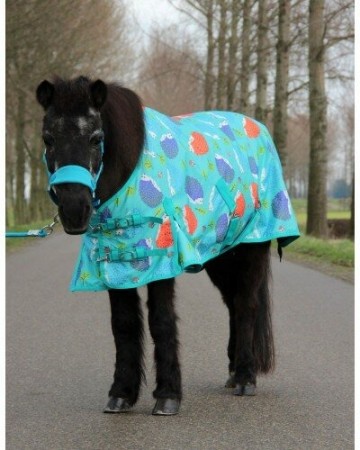 Hb harry hector egels regendeken