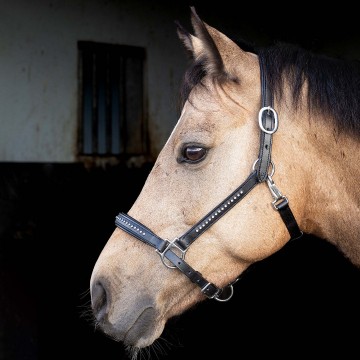 Hh leder finesse crystal