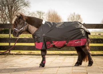 Regendeken Stout Burgundy