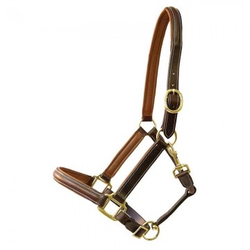 Leerhalster exquisit